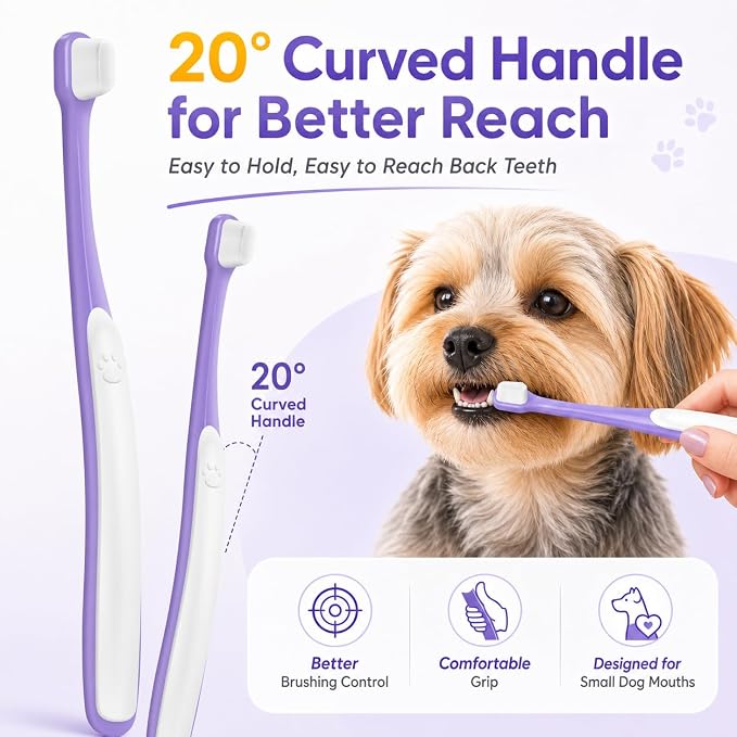 Small Dog Toothbrush, Mini Head, Soft Bristles, Under 30 lbs | Gentle Tiny Teeth Care. Curved Handle Reach. Soft Gum Comfort. Rubber Grip Control. Easy Daily Brushing.