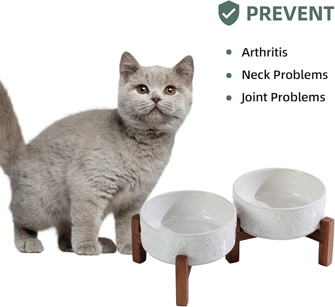 Havniva 5.1" Elevated Dog Bowls Ceramic Raised Dog Bowl with Non-Slip Stand (Acacia Wood) Two Height Options, Dog Food & Water Bowl for Small Breed Dogs Puppy - 1.6 Cups 13.5 oz