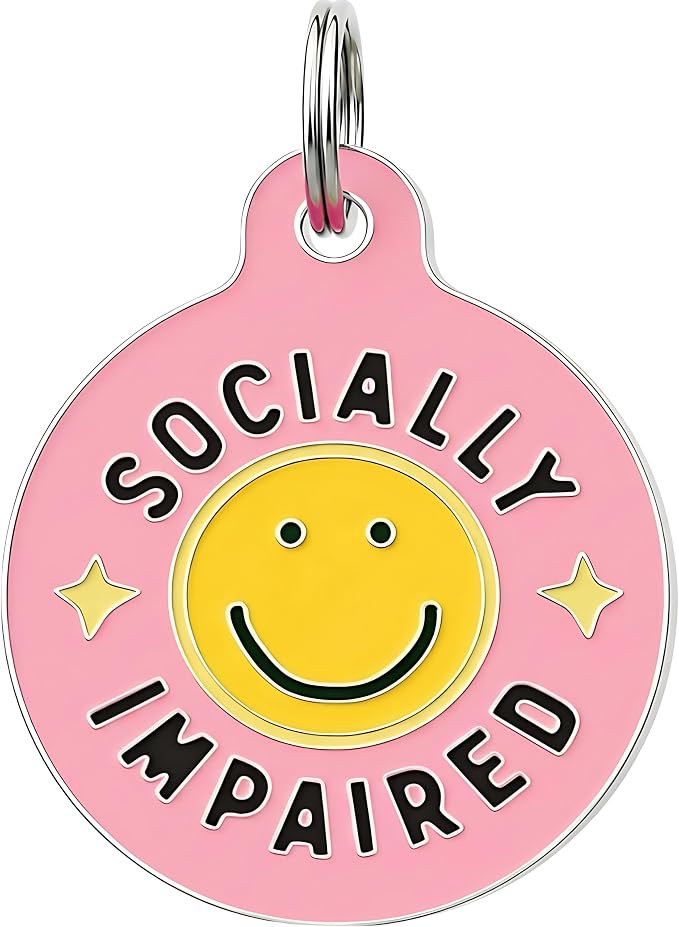 Bad Tags Personalized Dog and Cat ID Tags in 25+ Designs and 2 Sizes - 5 Lines of Custom Engraved Text - Funny Cute Personalized Pet Tags (Socially Impaired - Pink, Large (1.25 inch))