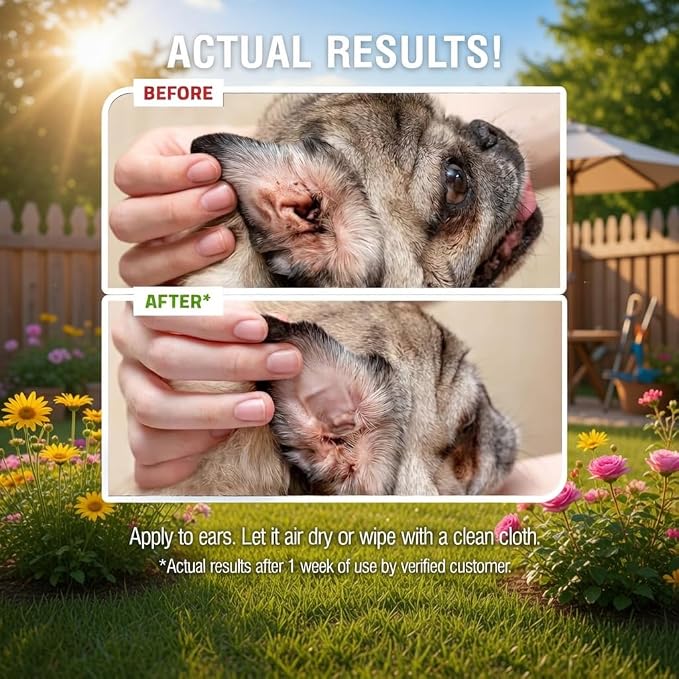 Natural Ear Wash Cleaner for Dogs & Cats, 8 fl oz | Infection Treatment for Dogs, Targets Odors & Wax Build-Up, Soothes Itchy Ears, NOT Colloidal Silver - Chelated Silver, USA