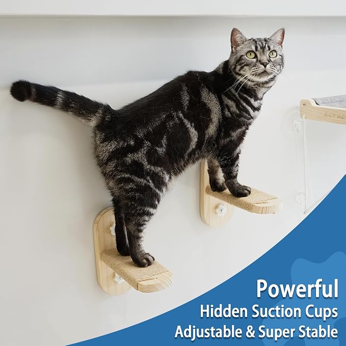 PETKARAY Cat Window Shelf, Original Cat Window Perch Stairs, Durable Kitty Seat for Window Sill, Sturdy Window Step for Indoor Cats