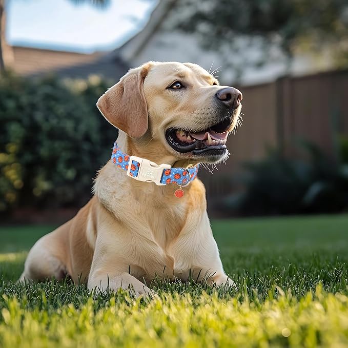 Basketball Dog Collar, Cute Boy Dog Collars for Small Dogs - Blue Sports Themed Cotton Male Dogs Collar, Soft Adjustable Daily Pet Collars with Quick Release Buckle S