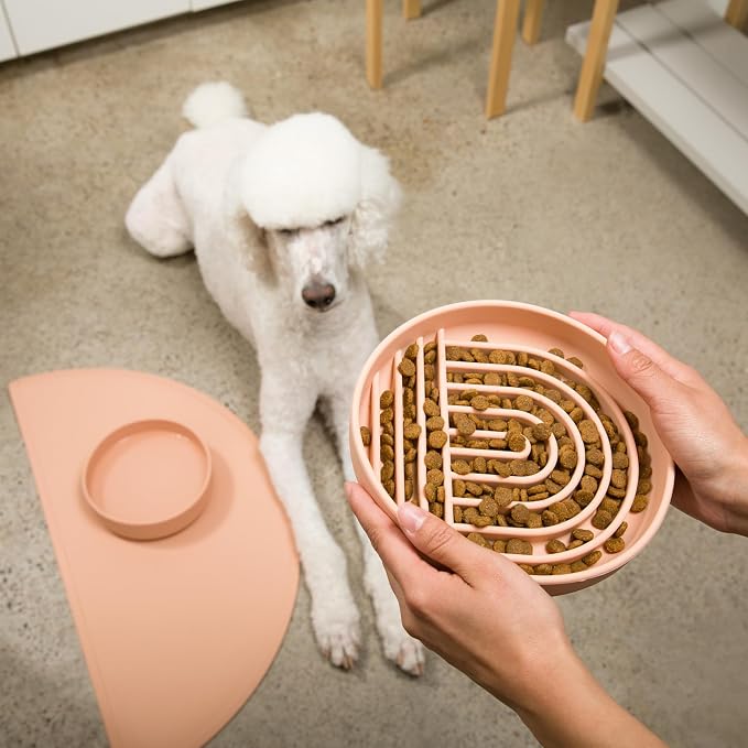 Should We Go? Slow Feeder Dog Bowls - Large Size Silicone Slow Eating Dog Bowl for Puppies & Dogs with Suction Cup -Dishwasher-Safe, Lick Mat Design, Reduces Gulping,for All Breeds,9.5”x1.5”- Blush