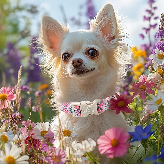 Floral Dog Collar, Cute Girl Dog Collars - Pastel Wildflowers Pattern Spring Summer Puppy Collar, Adjustable Female Dog Collars for Small Medium Large Dogs L
