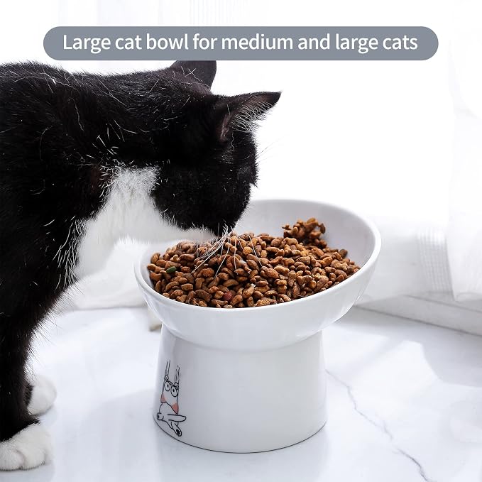 6.5 Inch Extra Wide Ceramic Raised Cat Bowl Set, Tilted Elevated Cat Bowls for Food and Water, Prevent Whisker Fatigue, Stress Free, Less Vomiting, Protect Spine, White & Grey | Prevent Whisker Fatigue, Stress Free, Less Vomiting, Protect Spine, Dishwa...