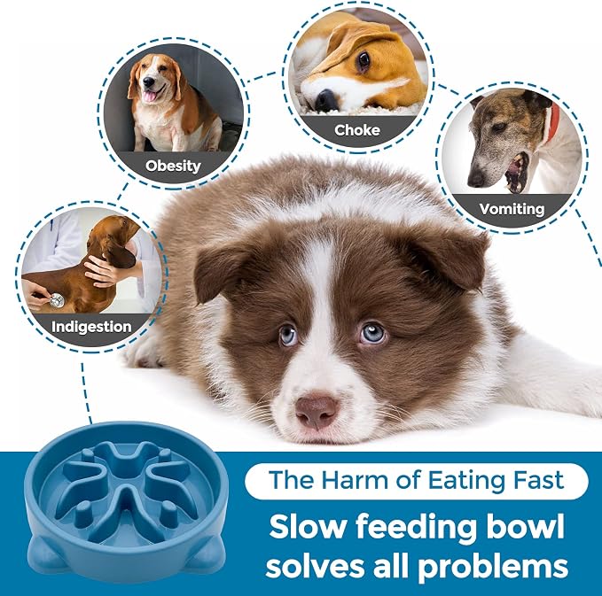 VANNON Slow Feeder Dog Bowls Non Slip Puppy Bowl Durable Dog Puzzle Feeder Bloat Stop Food Bowls for Puppy and Small Dogs, BPA Free, 1 Cup, Blue