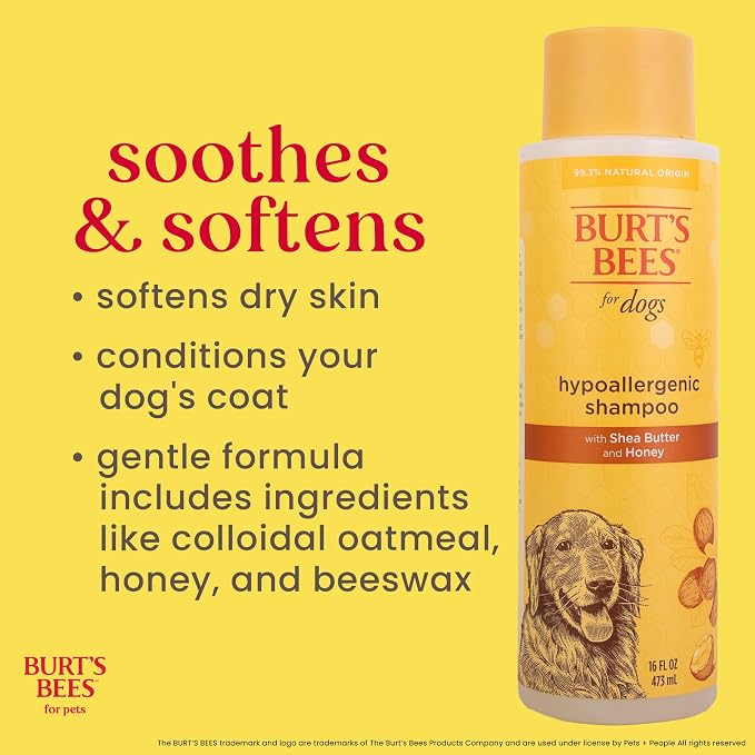 Burts Bees for Pets Hypoallergenic Dog Shampoo, 16 Fl Oz, 6-Pack | Suitable for dogs with allergies, fragrance-free formula, 95% natural origin, sensitive skin and coat