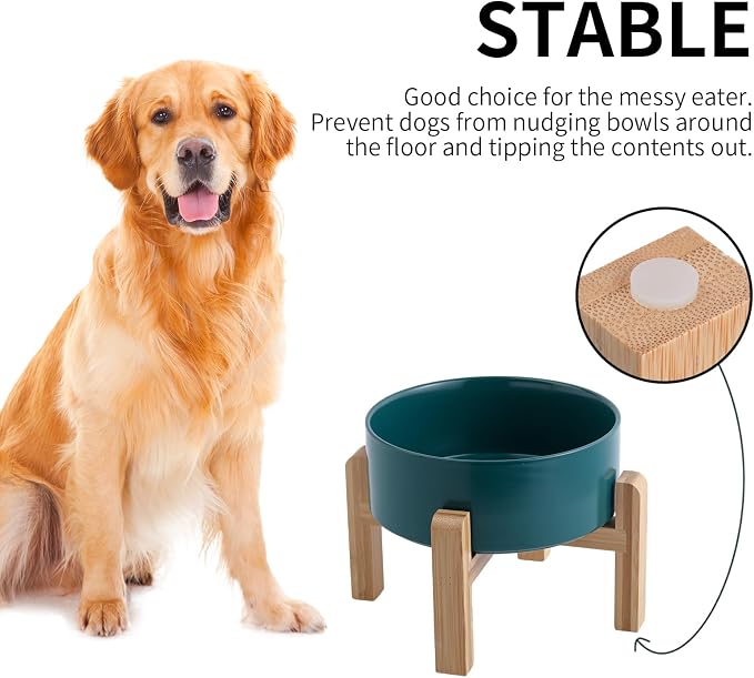 Green Raised/Elevated Ceramic Dog Bowl for Small Medium Sized Breeds,Dog Food Water Bowl with Stand,6 in Non Slip Heavy Pet Feeding Dish 3.6 Cups/ 850 ml /28 OZ