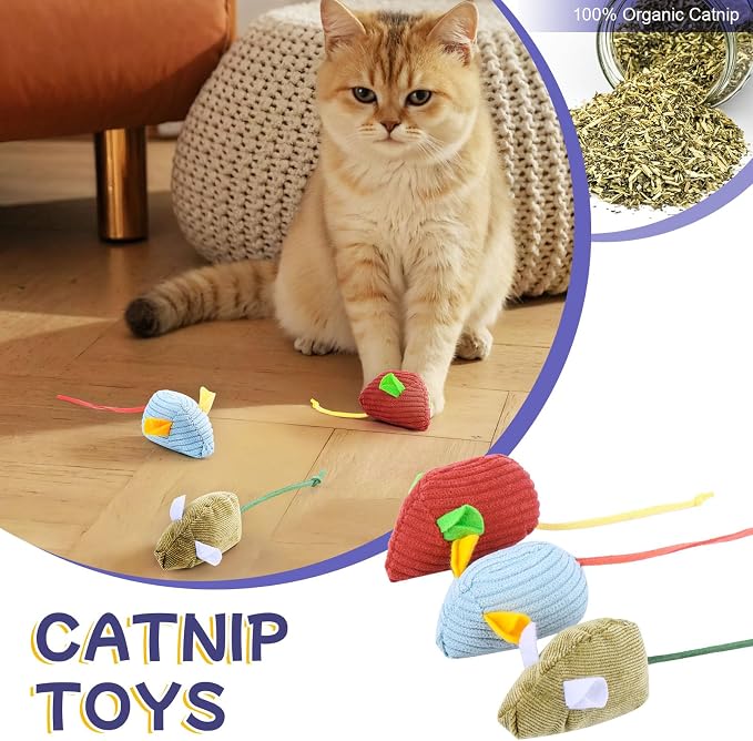 Geila Interactive Cat Toys Bundle – 31 Piece Kitten Cat Toy Set with Door Hanging Teaser, Bell, Fuzzy Balls, Springs, Teething Stick & Catnip Mouse – Fun Indoor Play for Cats & Kittens (Blue)