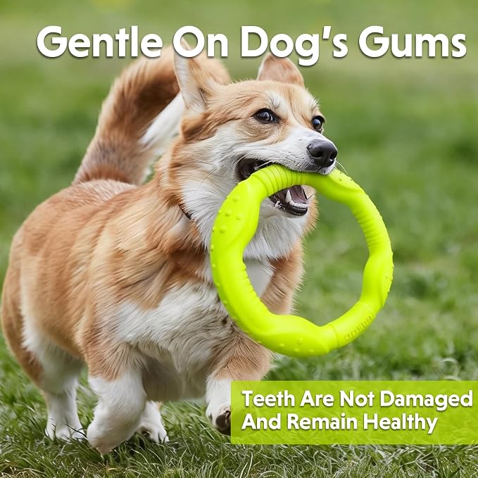 LaRoo Dog Chew Toy Ring 8.6 Inch,Floating Fetch Flying DiscInteractive Tug of War Toy for Dogs,Waterproof Lightweight Outdoor Dog Play Toy for Medium Dogs(Green)