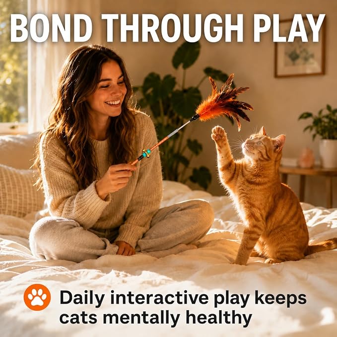 Cat Feather Wand Toy Set – 5 Different Feather Styles in One Pack – Interactive Wand Toys for Indoor Cats and Kittens – Durable Spring Design for Engaging Playtime