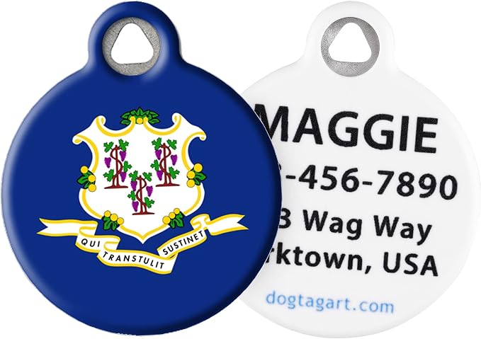 Connecticut State Emblem Pet ID Tag for Dogs and Cats - Dog Tag Art - LARGE SIZE