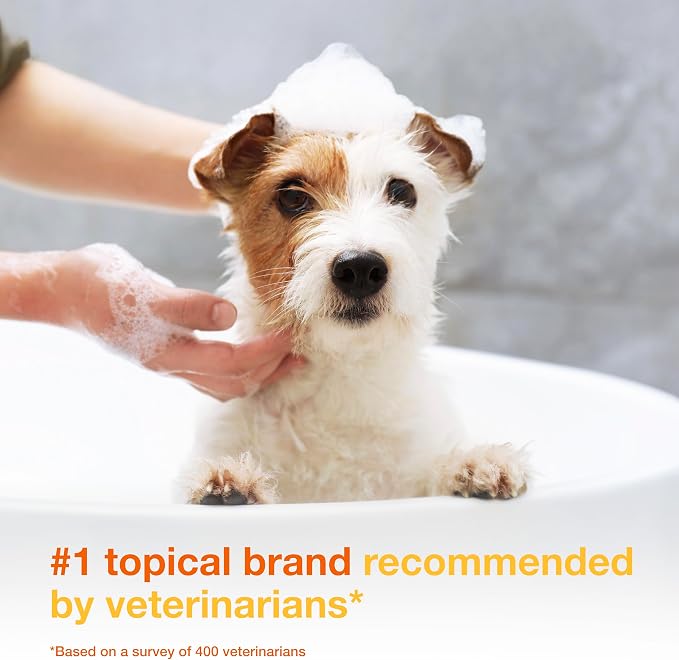 Douxo S3 PYO Medicated Dog Shampoo with 3% Chlorhexidine for Dogs – Antibacterial & Antiseptic Yeast Infection Treatment For Dogs & Cats, Clinically Proven, 6.7 fl oz