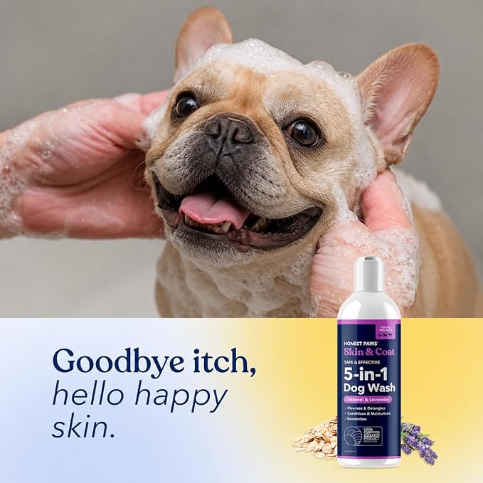Oatmeal Lavender Dog Shampoo and Conditioner, Itchy Skin Relief, Allergies | Oatmeal Shampoo for Dogs, Anti-Itch Pet Shampoo for Dogs, for Allergies and Itching, Sensitive Skin, Smelly Dogs