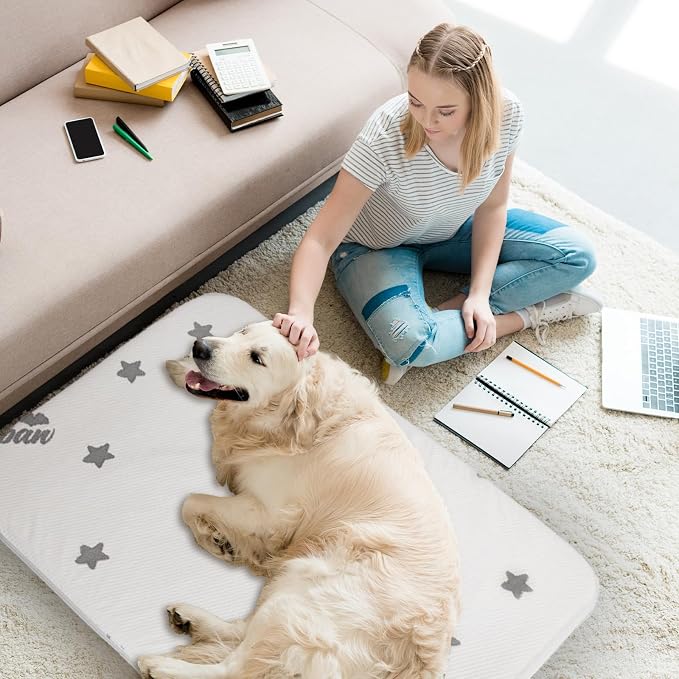Waterproof Dog Bed for Large Dogs, Memory Foam Dog Beds & Furniture | 38” x 26" x 1.5" for Large Sized Dogs With Anti-slip & Washable Removable Cover, Soft Flannel Top Pet Beds, Light Grey