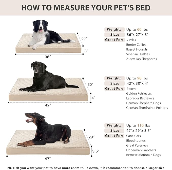 WNPETHOME Orthopedic Waterproof Extra Large Senior Dogs Bed for Comfy Sleep | XL Washable Ped Bed with Removable Cover, Multi-Needle Quilting XL Crate Bed for Large Sized Dog Relax, Beige 42x30 Inch