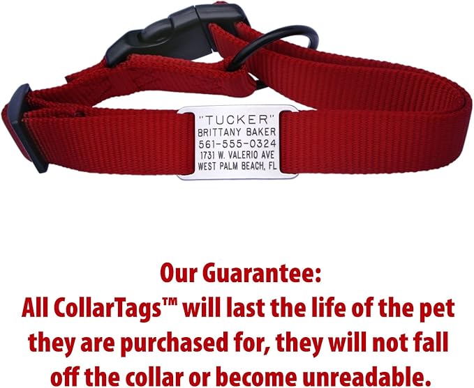 Boomerang Tags Dog Tags Engraved for Pets - Lasts Your Pets Lifetime - Silent Pet Tag, Dog Name Tag Personalized, Durable Stainless Steel Custom ID (Open End Large for 1 Inch Snap Style Collars)