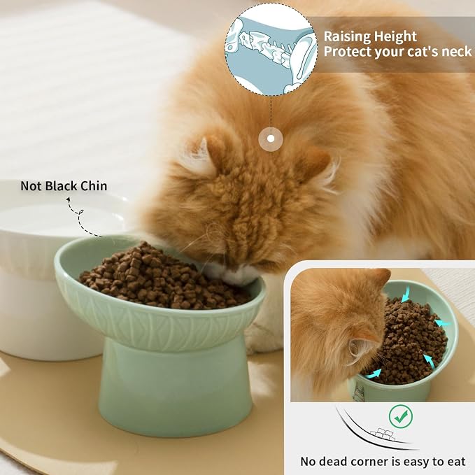 6.5 Inch Tilted Elevated Cat Bowls, Ceramic Extra Wide Raised Cat Bowl Set | Prevent Neck, Whisker Fatigue, Anti Vomit, for Cats Puppies, Dishwasher Microwave Safe, White & Green