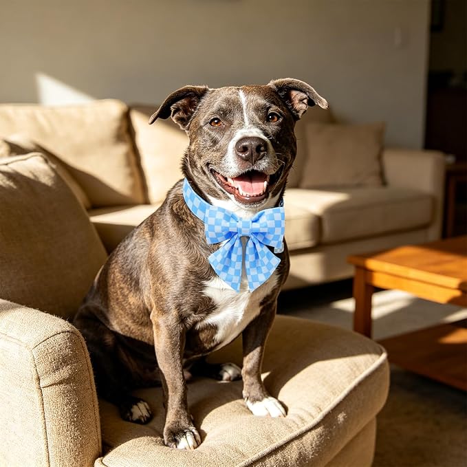 DOGWONG Blue Plaid Dog Collar with Bow - Adjustable and Comfortable Autumn Dog Collar Blue Checked Necklace for Large Medium Small Pet,M
