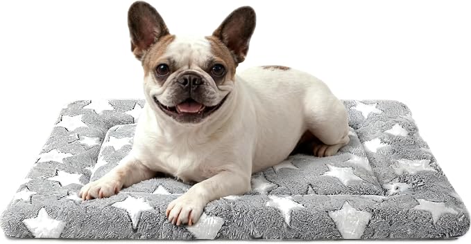 Dog Bed Mat, Reversible Crate Pad & Durable Dog Bed - Machine Washable Kennel Mat with Ultra Soft for Medium Dogs (Cool/Warm), 30" x 20", Grey&Star