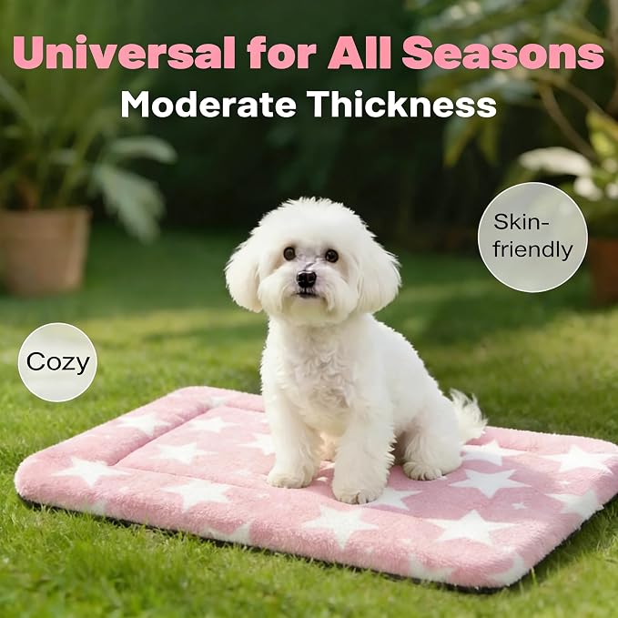 Dog Bed Mat, Reversible Crate Pad & Cute Dog Bed - Machine Washable Kennel Mat with Ultra Soft for Small Dogs (Big&Small Stars Pink, 24" L*18" W*1.5" Th)