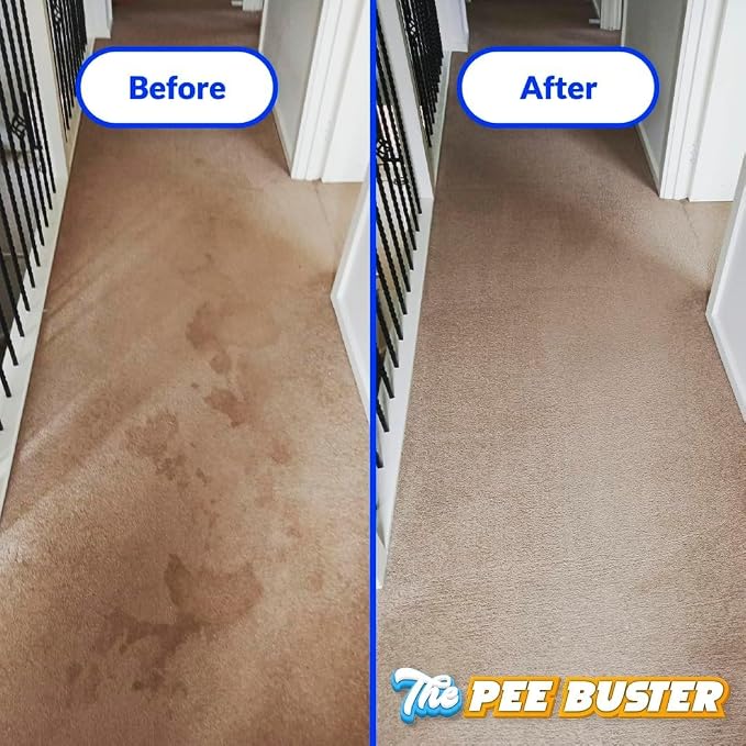 Pet Stain Remover – Refillable Cleaning Bottle with 5 Dissolvable Tablets – Multi-Surface Cleaner for Dog & Cat Urine on Carpet, Tile, Hardwood & Fabric