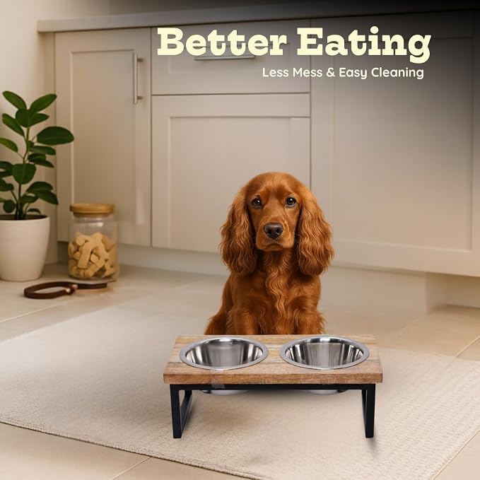 Elevated Dog Bowls, Medium 5.2 Height Mango Wood Raised Dog Bowl Iron Stand Frame with 64oz 2 Pcs Stainless Steel Pets Dishes, Food & Water 8Cup, 1.9L Capacity Nonslip Cat Feeding Station
