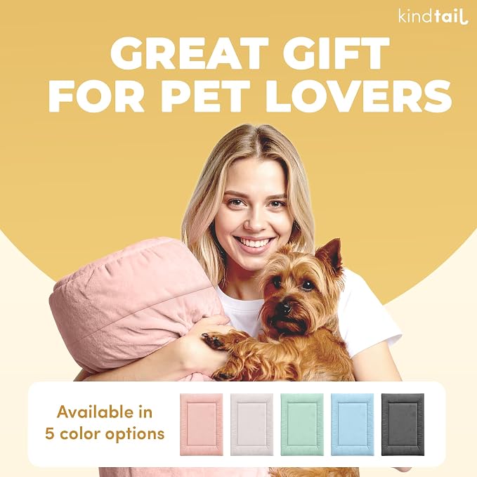 Dog Crate Pad - Soft Velvet, Reversible Bed - Machine Washable Kennel Mat for Pets up to 25 lbs - Mattress for Cozy Sleeping - 25” x 19” x 1” (Light Green, Medium)