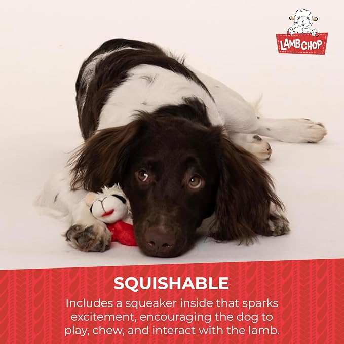 Multipet Lamb Chop Dog Plush Toy-Squeaky Toy for All Dogs - Extra Soft Plush - Stuffed Animal Dog Toy for Cuddling & Playing - Cute Pet-Toy (6", Cream) (Pack of 2)
