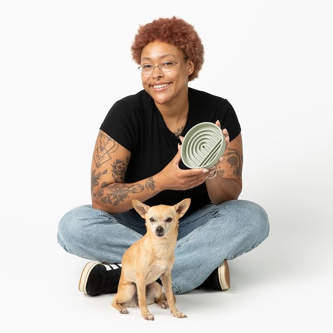 Should We Go? Slow Feeder Dog Bowls - Small Size Silicone Slow Eating Dog Bowl for Puppies & Dogs with Suction Cup -Dishwasher-Safe, Lick Mat Design, Reduces Gulping, for All Breeds, 6”x1.25”- Sage