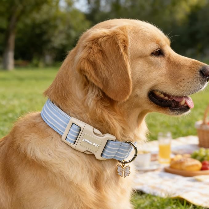 ARING PET Stripe Dog Collar, Cute Spring Summer Blue Stripe Pet Collars with Bow Charm for Puppy Small Medium Large Boy Girl Dogs-M, for Daily Outdoor Walking Training