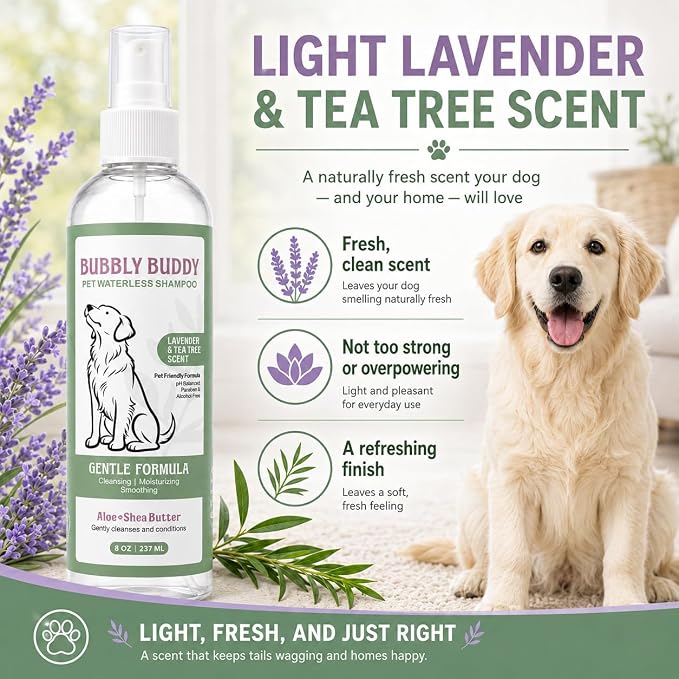 Pet Waterless Shampoo for Dogs, No-Rinse Dog Shampoo Spray with Aloe, Shea Butter, Colloidal Oatmeal, Jojoba Oil, Vitamin E & Tea Tree Oil, pH Balanced, Lavender & Tea Tree Scent, 8 fl oz