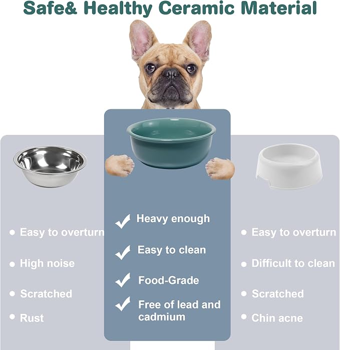 Ceramic Replacement Dog Bowl for Wordcam SS03 Model, 6.9"X2.6", Dark Green | Food and Water Bowl Set, for Small Medium Cats, Pet Feeding Dishes for Dogs 20-35lbs, Thicker Ceramic, Anti-Skid, 28Oz/800ML