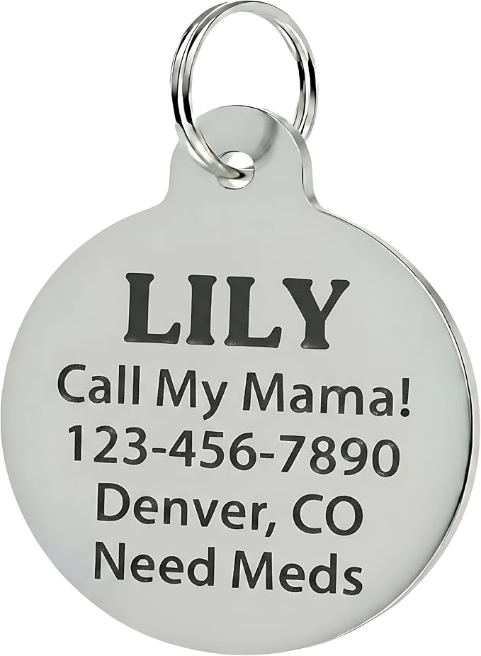Bad Tags Personalized Dog and Cat ID Tags in 25+ Designs and 2 Sizes - 5 Lines of Custom Engraved Text - Funny Cute Personalized Pet Tags (Cute But Psycho, Large (1.25 inch))