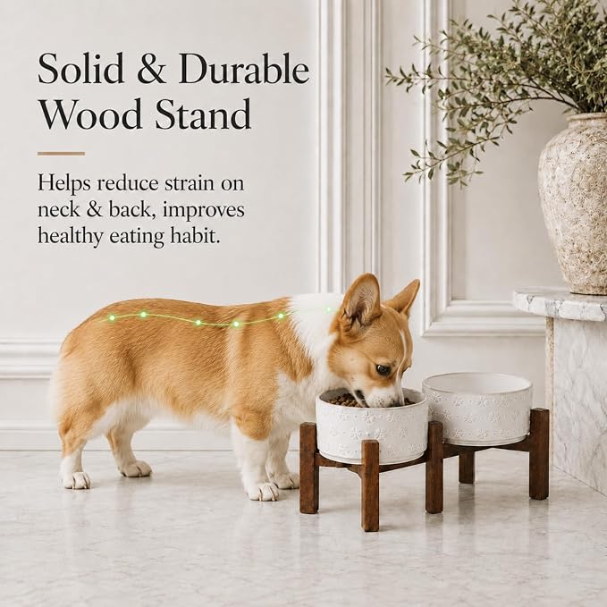 Havniva 6.1" Elevated Dog Bowls Ceramic Raised Dog Bowl with Non-Slip Stand (Acacia Wood) Two Height Options, Dog Food & Water Bowl for Small & Medium Breed Dogs - 3.4 Cups 27 oz