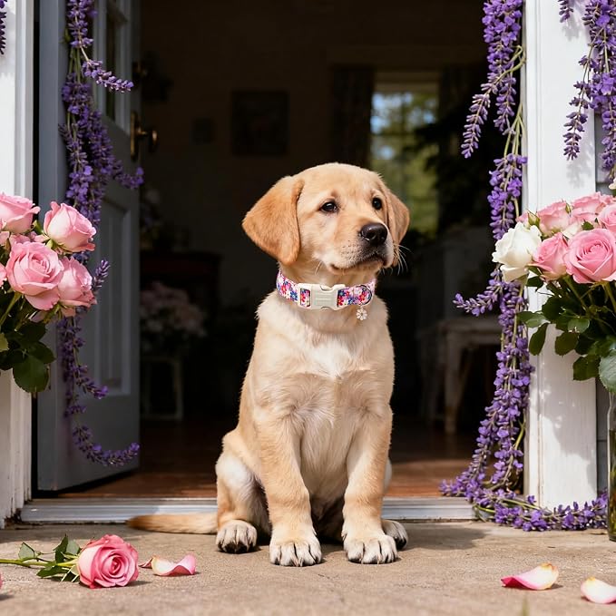 DOGWONG Purple Flower Dog Collar- Cute Daisy Flower Dog Collars Adjustable Girl Female Puppy Dog Collar for Small Dogs Cats, XS
