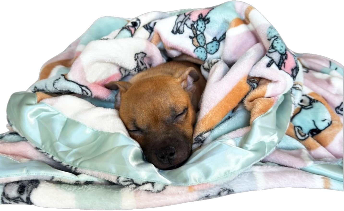 Darren & Phillip Rescue Ranch Blanket - Ultra-Soft Blankets Made with Plush Fleece - Perfect as a Dog Bed Blanket or for Cuddling with Your Pup - Ultra-Snuggly Blankets for Dogs & Humans