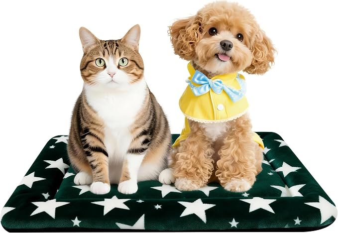 Dog Bed Mat – Soft & Comfortable Dog Kennel Pad for Crate – Durable Crate Bed & Mat for Dogs & Cats – Ideal for Crate, Kennel, and Home Use (Big&Little Stars Green, S(24"*18"*1.5"))
