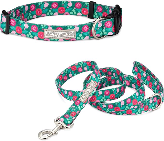 Lucky Love Dog - Adjustable Dog Collar and Leash Set with Easy Click Buckle for Large Dogs, Durable, & Comfortable Collar for Male & Female Dogs, Puppies & Adult Ones - Penny Combo, Large