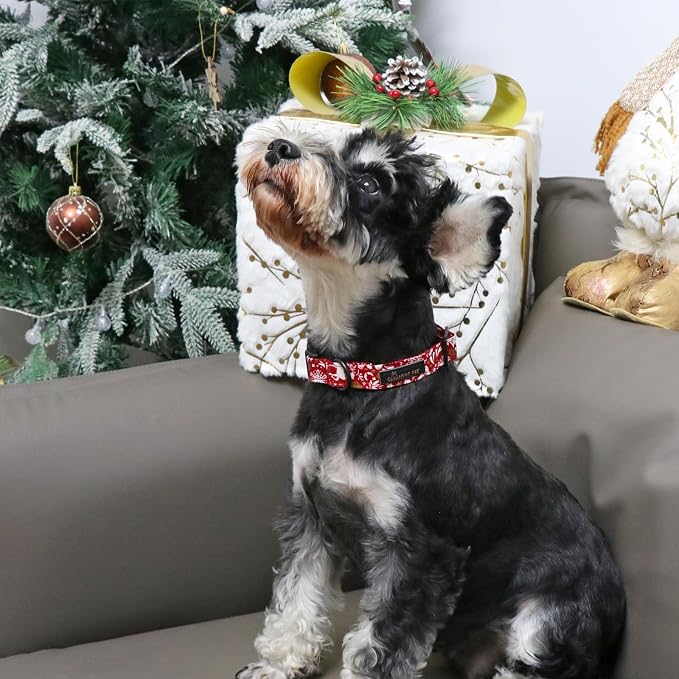 ARING PET Christmas Dog Collar, Cute Red Reindeer Cotton Lightweight Xmas Pet Collars for Puppy Small Medium Large Boy Girl Dogs-XS