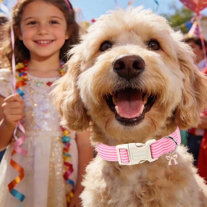 DOGWONG Pink Dog Collar, Pink Striped Dog Collar with Plastic Buckle, Summer Spring Cute Girl Female Dogs Collars for X-Small Puppies Dogs, Neck 8-12 inches