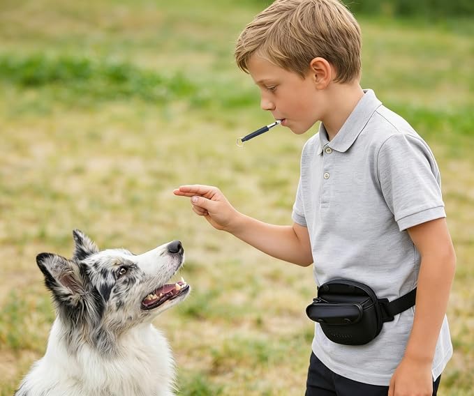 Silicone Dog Treat Pouch with Magnetic Closure,Hands-Free Pet Training Treat Pouches,Dog Trainer Treat Pouch Small，Dog Walking Fanny Pack for Puppy & Small Dogs