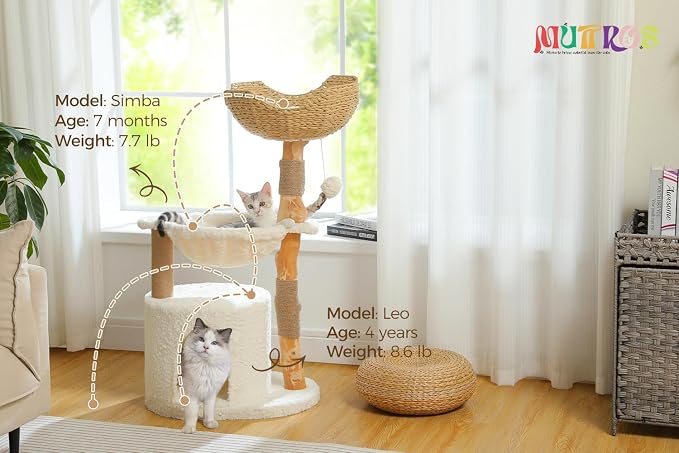 MUTTROS Modern Cat Tree for Large Cats, Wood Cat Tower for Indoor Cats, Real Branch Luxury Cat Furniture with Super Large Cozy Condo and Hammock & Scratching Post, Top Basket, White