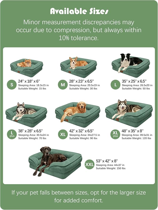 Spotted Play Orthopedic Dog Bed with Sides - Sofa Beds for Medium Dogs, Supportive Foam Pet Couch Bed with Washable Removable Cover, Waterproof Lining and Non-Slip Bottom, Green - M