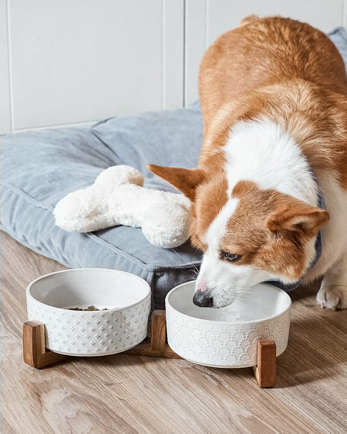 LE TAUCI Dog Bowl Set with Acacia Wood Stand - 1.8-Cup Ceramic Puppy Bowls for Small Dogs, Dual Food and Water Bowls with Weighted Non-Slip Base
