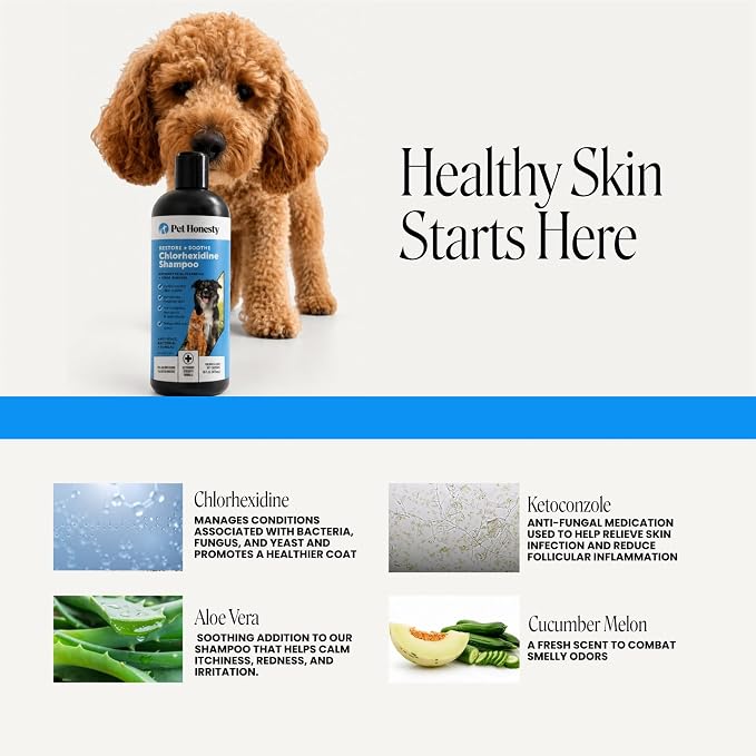 Pet Honesty Chlorhexidine Cat & Dog Seasonal Itch Relief Shampoo, for Allergies, Itching, Skin and Coat Supplement, Helps Shedding, Hot Spots, Deodorizing Dog Shampoo & Grooming Supplies,16oz