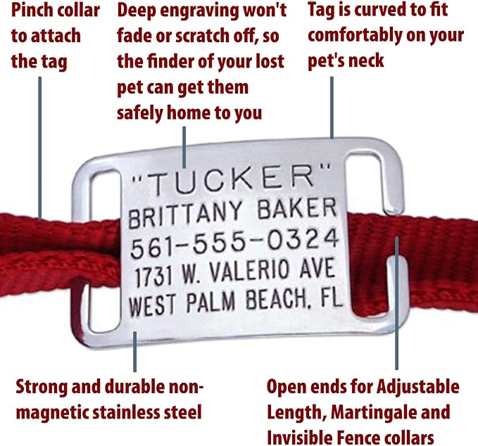 Boomerang Tags Cat Tag - Small Dog Tag, Will Last Your Pets Lifetime - Cat Tags Personalized Small, Engraved Stainless Steel Silent, ID Tag (Open End X-Small for 3/8 or 1/2 Inch Snap Style Collar)