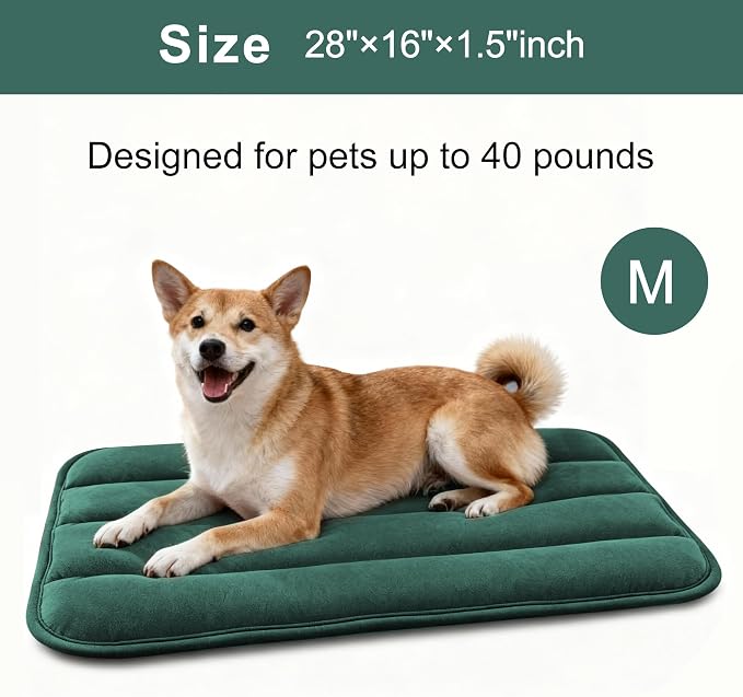 Dog Bed Mat, Reversible Dog Crate Pad with Washable Kennel Mat and Soft Foam, Flat Pet Bed for Dogs & Cats, for Crates Carriers & Travel (Green, 28" L*16" W*1.5" Th)