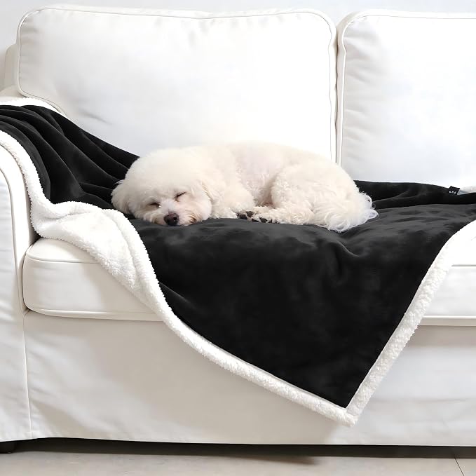 Kritter Planet Dog Blankets for Small Dogs, Soft Puppy Blanket, Pet Blankets for Cats, Lightweight & Washable, Perfect for Dog Beds, Car Seats, Creat, 30x40 inches