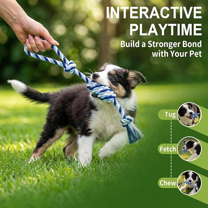 Dog Rope Toys 4 Pack for Small Dogs & Puppies - Cotton Knot Teething Chew Dog Toy, Interactive Tug of War Set for Boredom Relief, Teeth Cleaning, Indoor/Outdoor Play - Blue